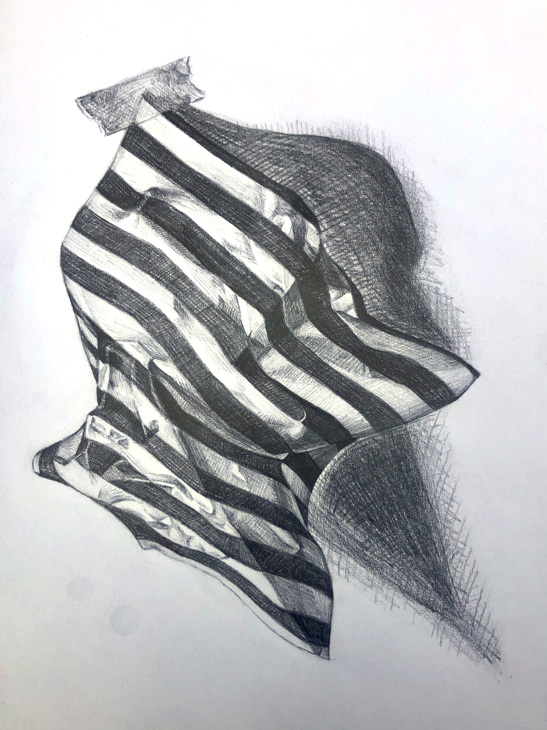 Savannah Gourley, Graphite in 12″x9″ Sketchbook, Striped Paper Value/Closure Drawing, AR100 Drawing I, Spring 2020